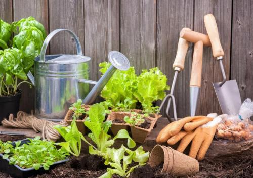 Когда что сажать в огороде таблица украина. Благоприятные дни по Лунному посевному календарю для посевов и посадки для садовода и огородника на 2023 год