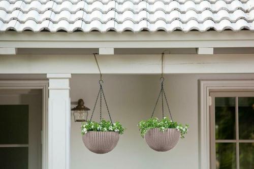 Можно ли использовать кашпо, как горшок. Популярные виды и формы