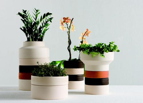 Можно ли использовать кашпо, как горшок. Популярные виды и формы