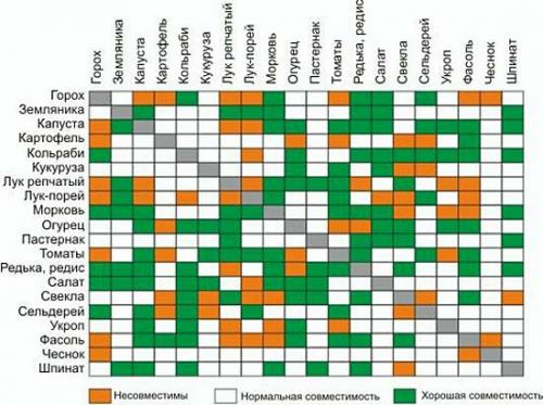 Что посадить на 2 сотках. Секреты размещения огорода на небольшом участке