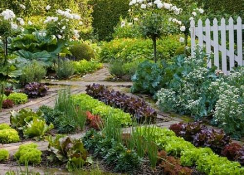 Что посадить на 2 сотках. Секреты размещения огорода на небольшом участке