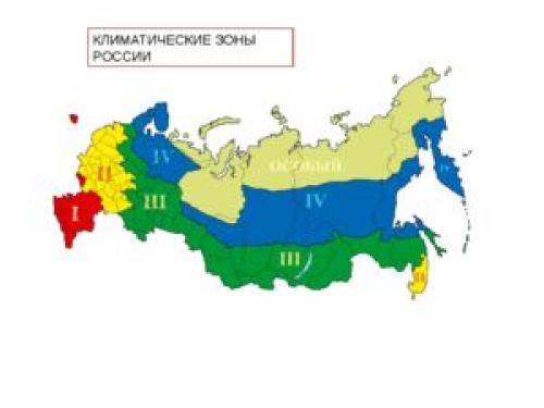 Уличные растения в горшках зимой. Зимовка горшочных растений