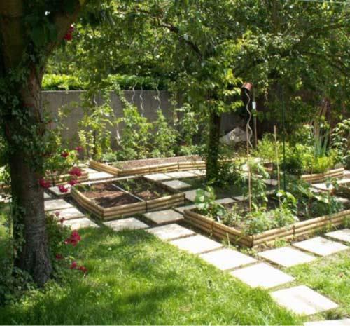 12 тенелюбивых растений для дачи. Подборка цветущих растений для посадки в тени 02 12 тенелюбивых растений для дачи. Подборка цветущих растений для посадки в тени 02