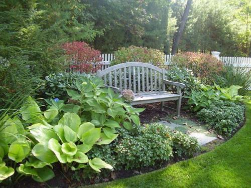 Теневыносливые растения примеры. Что посадить в тенистом месте или какие растения относятся к теневыносливым