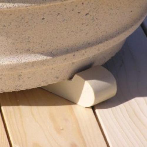 Хвойные растения в горшках на улице. Зимовка горшочных растений