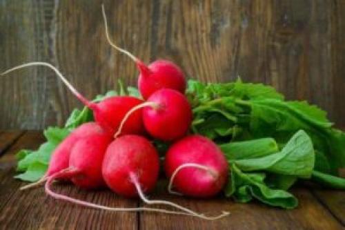 Что сажать весной в первую очередь. Что садить ранней весной на огороде. 10 овощей, которые садят ранней весной на огороде