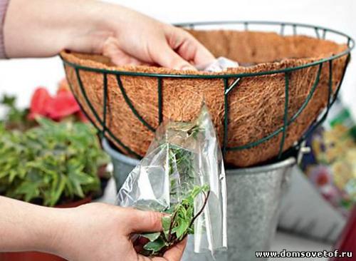 Как сажать цветы в кашпо из кокосового волокна. Секреты кашпо из кокосового волокна