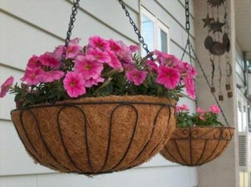 Как сажать цветы в кашпо из кокосового волокна. Секреты кашпо из кокосового волокна