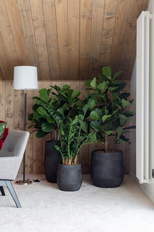 Уход за растениями в уличных кашпо. 9 правил выращивания в уличных горшках 15 Уход за растениями в уличных кашпо. 9 правил выращивания в уличных горшках 15