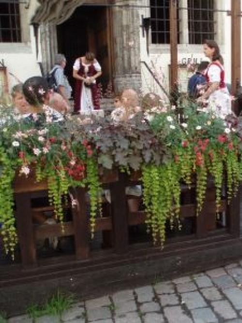 Зимостойкие растения в кадках. 10 РАСТЕНИЙ В ГОРШКАХ ЗИМОЙ