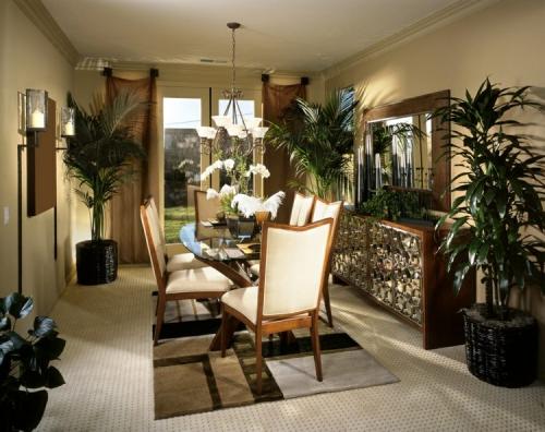 Комнатные растения, которым не нужен свет. 21 растение, которому достаточно мало света