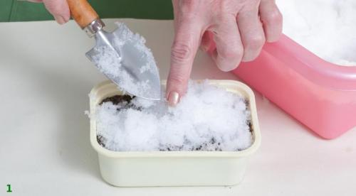 Когда и как правильно сеять петунию на рассаду.. Когда и как правильно посеять петунии на рассаду? 01