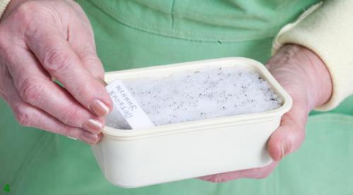 Когда и как правильно сеять петунию на рассаду.. Когда и как правильно посеять петунии на рассаду? 02