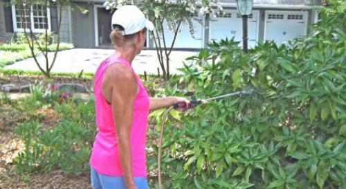 Обработка ПЛОДОВОГО сада после цветения. Общие правила обработки сада 03 Обработка ПЛОДОВОГО сада после цветения. Общие правила обработки сада 03