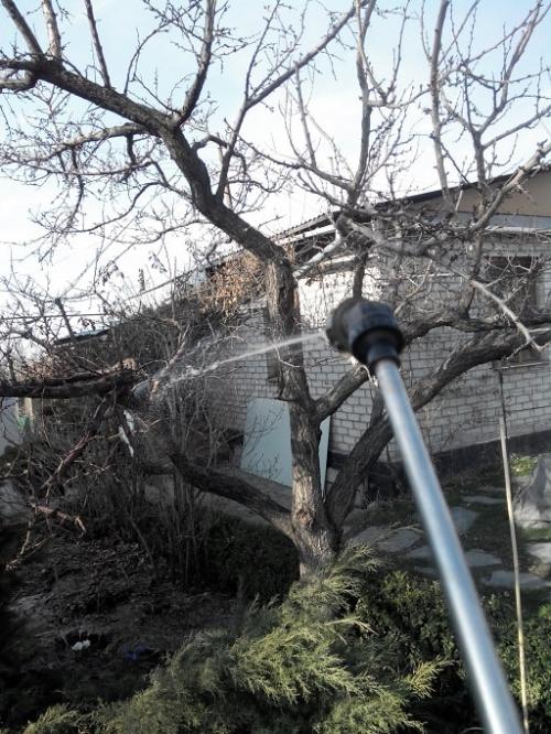 Обработка ПЛОДОВОГО сада после цветения. Общие правила обработки сада 02 Обработка ПЛОДОВОГО сада после цветения. Общие правила обработки сада 02