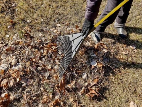 Обработка ПЛОДОВОГО сада после цветения. Общие правила обработки сада 05 Обработка ПЛОДОВОГО сада после цветения. Общие правила обработки сада 05