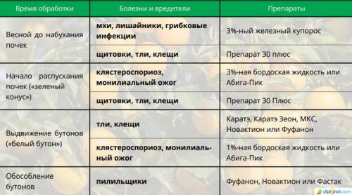 Календарь обработки сада от вредителей и болезней. Календарь обработки сада от болезней и вредителей с ранней весны и до поздней осени