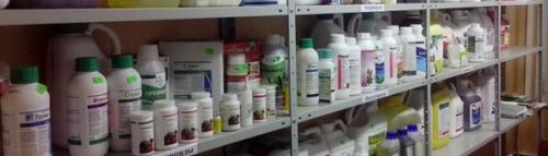 Весенняя обработка сада после цветения. Общие правила обработки сада