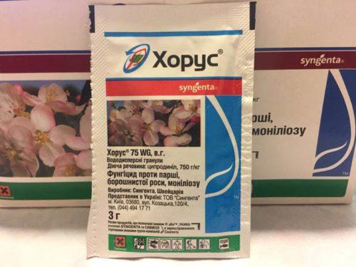 Хорус после цветения. Применение Хоруса