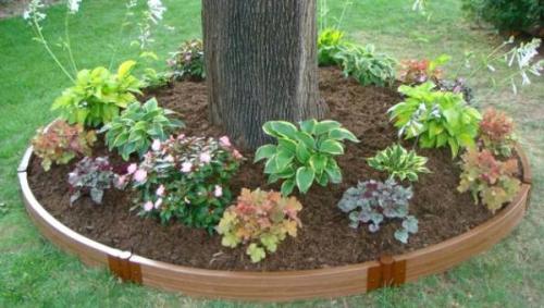 Как сделать клумбу вокруг дерева. Создаем цветочную клумбу под деревом