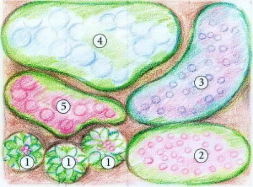 Цветник в тени схемы. Варианты цветников в тени