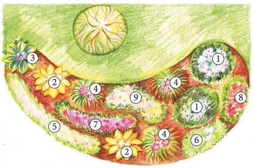 Клумба вокруг яблони. Под ветвями дерева. Как сделать цветник под яблоней