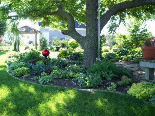 Клумба вокруг дерева. Как создать клумбу под деревом?