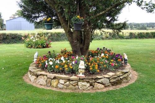 Как сделать клумбу вокруг дерева. Создаем цветочную клумбу под деревом