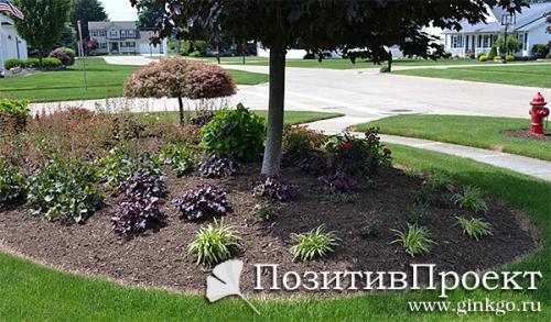 Дизайн клумб под деревьями. Выбор дерева для цветника 20 Дизайн клумб под деревьями. Выбор дерева для цветника 20