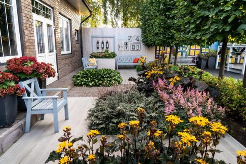 Клумба в полутени. Растения для цветника в тени: какие выбрать и почему