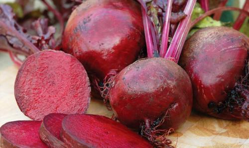 Какие растения высаживают в тени у забора. Добавление статьи в новую подборку 05