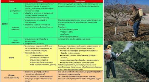 Подробно о обработке сада от различных вредителей. Как бороться с вредными насекомыми 03 Подробно о обработке сада от различных вредителей. Как бороться с вредными насекомыми 03