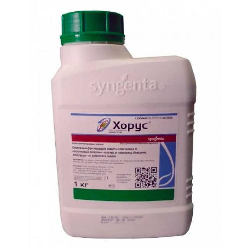 Хорус после цветения. Описание препарата