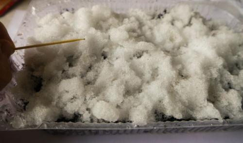 Посев петунии на снег. Как сеять петунию на рассаду на снег: инструкция с фото