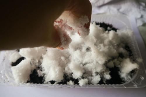 Посев петунии на снег. Как сеять петунию на рассаду на снег: инструкция с фото