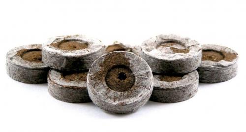 Как посадить рассаду в торфяные таблетки. Введение