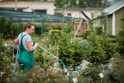 Уход за садом в мае. Как ухаживать за садом весной? Сегодня говорим про май! 01 Уход за садом в мае. Как ухаживать за садом весной? Сегодня говорим про май! 01