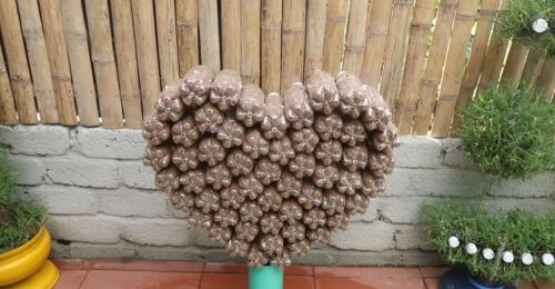 Выращивание рассады петунии на туалетной бумаге без земли. Рассада без земли на туалетной бумаге по-московски 15 Выращивание рассады петунии на туалетной бумаге без земли. Рассада без земли на туалетной бумаге по-московски 15