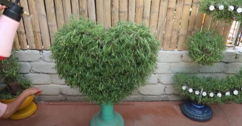 Выращивание рассады петунии на туалетной бумаге без земли. Рассада без земли на туалетной бумаге по-московски 23 Выращивание рассады петунии на туалетной бумаге без земли. Рассада без земли на туалетной бумаге по-московски 23