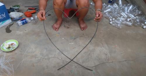 Выращивание рассады петунии на туалетной бумаге без земли. Рассада без земли на туалетной бумаге по-московски 18 Выращивание рассады петунии на туалетной бумаге без земли. Рассада без земли на туалетной бумаге по-московски 18