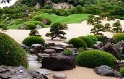 Низкорослые декоративные деревья для дачи. Планируем концепцию сада