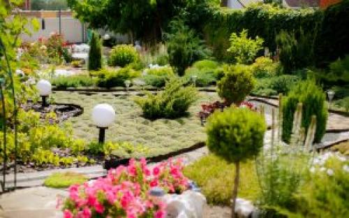 Сочетание декоративных кустарников. Ландшафтный дизайн: как совмещать декоративные кустарники