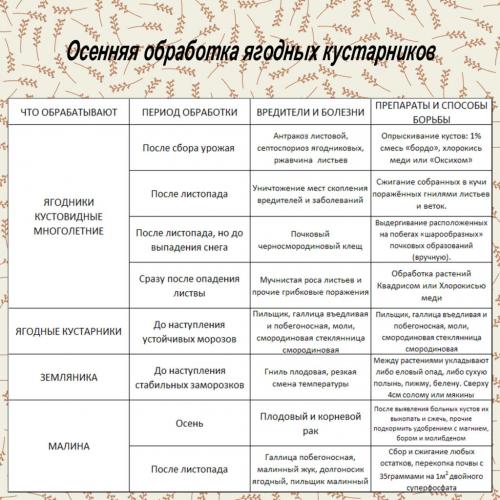 Осенняя обработка ягодных кустарников. Веселый Урожайник выращивание и уход
