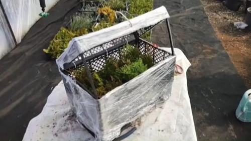 Как сделать вертикальную клумбу для петунии. Разновидности вертикальных клумб и цветы для них 26 Как сделать вертикальную клумбу для петунии. Разновидности вертикальных клумб и цветы для них 26