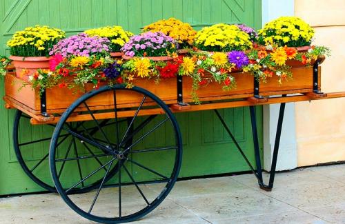 Клумба вертикальная. Вертикальные клумбы — создание каскадных цветников своими руками, фото