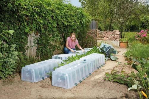 Как сделать вертикальную клумбу для петунии. Разновидности вертикальных клумб и цветы для них 23 Как сделать вертикальную клумбу для петунии. Разновидности вертикальных клумб и цветы для них 23