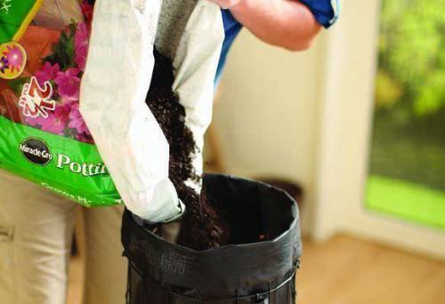 Как сделать вертикальную клумбу для петунии. Разновидности вертикальных клумб и цветы для них 18 Как сделать вертикальную клумбу для петунии. Разновидности вертикальных клумб и цветы для них 18