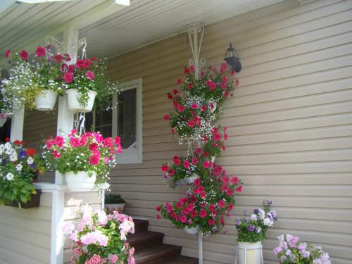 Как сделать вертикальную клумбу для петунии. Разновидности вертикальных клумб и цветы для них 14 Как сделать вертикальную клумбу для петунии. Разновидности вертикальных клумб и цветы для них 14