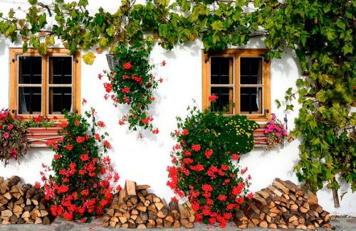 Клумба вертикальная. Вертикальные клумбы — создание каскадных цветников своими руками, фото