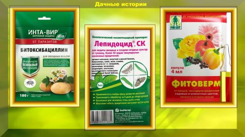 Можно ли опрыскивать деревья во время цветения. Зацвели сады. Самое время обрабатывать сад от вредителей